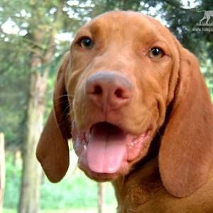 Meet your Posher, Aniko